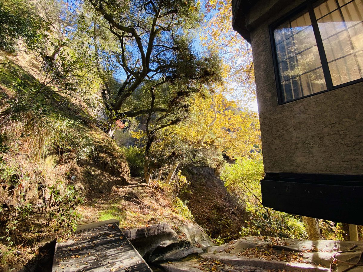 pritchettrapf's tweet photo. 510 Greenleaf Canyon Road
Offered at $999,000

Listed by William Preston Bowling
DRE# 01393337

Travel through Topanga State Park to your 11 acre gated estate. Trails throughout the 4 Assessor Parcel Numbers loop around this lush property. https://t.co/VLYMPfq6U2