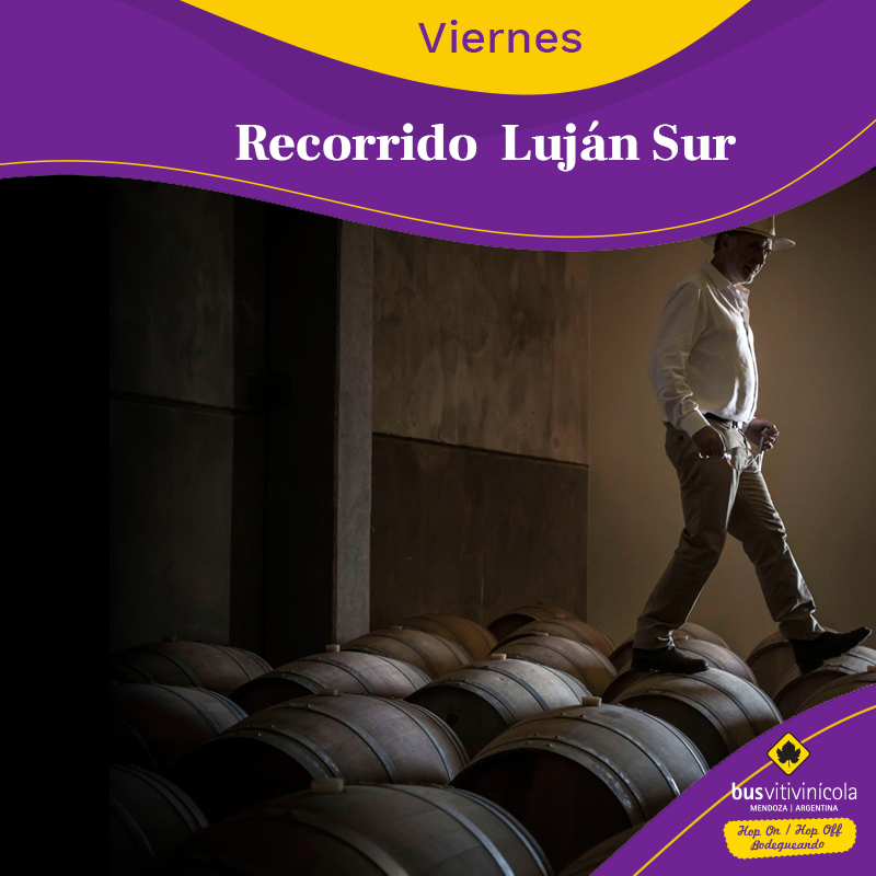 BusVitivinicola's tweet photo. Este #Viernes recorré con el Bus Vitivinícola Los Caminos del Vino de Luján Sur.
Visitaremos las bodegas @chandon_ar Zolo Wines, @susanabalbowines @bodegaa16 y @terrazas_andes
►Disfrutá un día #Bodegueando 🍇🍷
►WhatsApp 📲+54 9 261 2 63-9439 https://t.co/8LjLp2IKPX