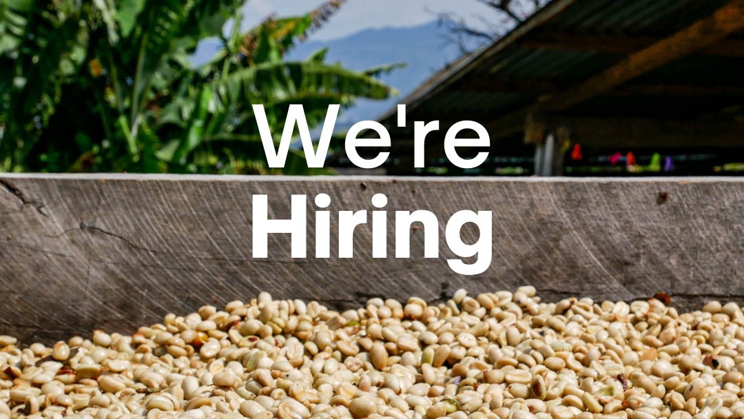 We have an immediate opening for an experienced and passionate individual to join our team as Impact Manager to oversee our Impact Fund, provide producer support, and maintain industry partnerships. To learn more please follow the link coopcoffees.coop/about/career-o…