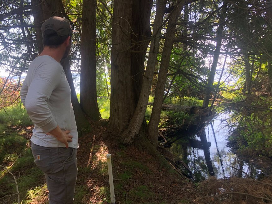 aimeeclassen's tweet photo. Hello @UMich @umichLSA students - transform your college experience - take class at the @UMBS
https://t.co/Mn5yQbWi5C
Ecology, Ethnobotany, Diversity, Microbiology, Agroecology, Flora of Middle Earth, Fishes, Mammals, Wild Microbes, Forest Systems, Arts, Culture, & Environment https://t.co/OaNM2RvZh5