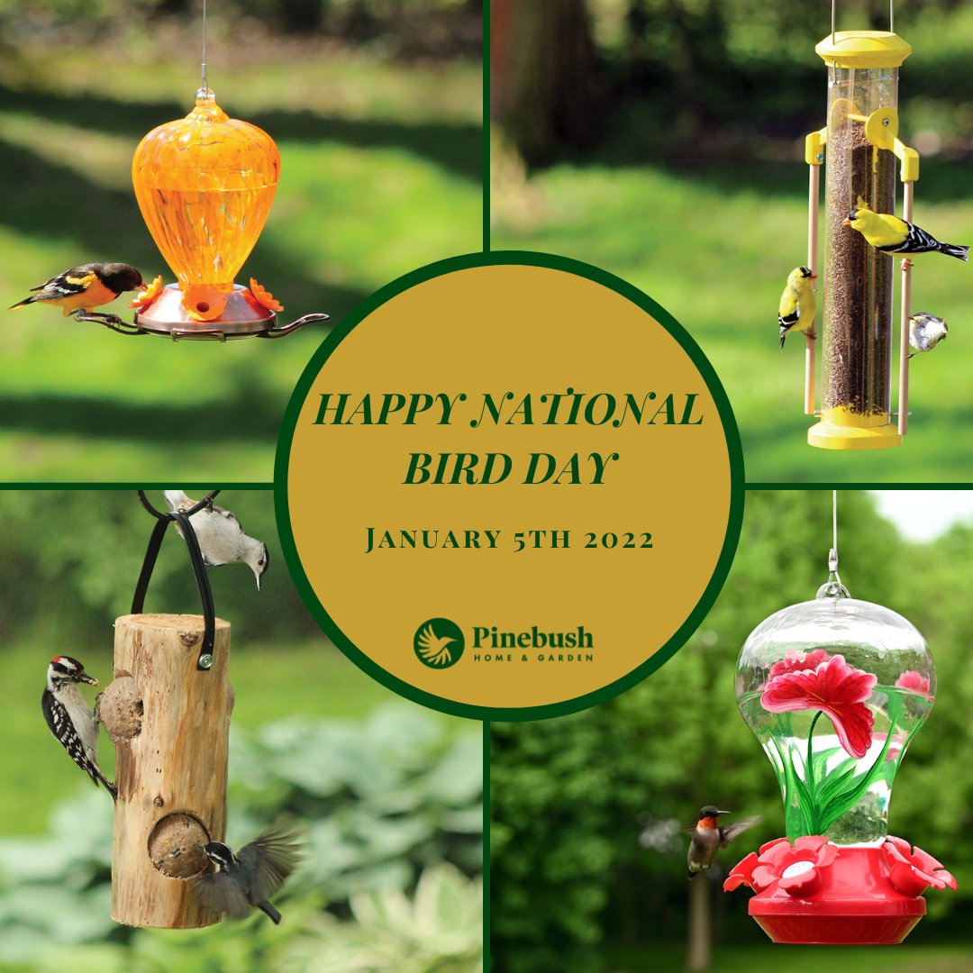 Pinebushhg's tweet photo. January 5th is National bird Day!  How do you celebrate your love for all things birding?

 #Hummingbirdfeeder #feeder #Pinebush #Pinebushhomeandgarden #Feedingthebirdswithnewideas #nectareaters #Birds #Birdsofinstagram  #NationalBirdDay #Hummingbird https://t.co/rLh3U1yZra