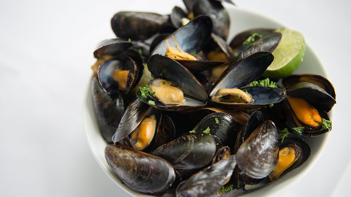 Seafood_Canada's tweet photo. Canadian Blue Mussels are one of the most sustainable seafoods on the market. They are very high in Protein, Omega-3, Antioxidants, Iron & Zinc, but low in Calories & Saturated fat. https://t.co/etaqNkMqaA
#CanadianSeafood #TastetheNorth #SustainableSeafood #mussels #bluemussels https://t.co/8SnwHYIsRm