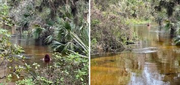 MostCyber's tweet photo. @HelpfindPaola @positiveosceola Update from @OsceolaSheriff on search for Paola Miranda Rosa https://t.co/tWh2Bzesvw