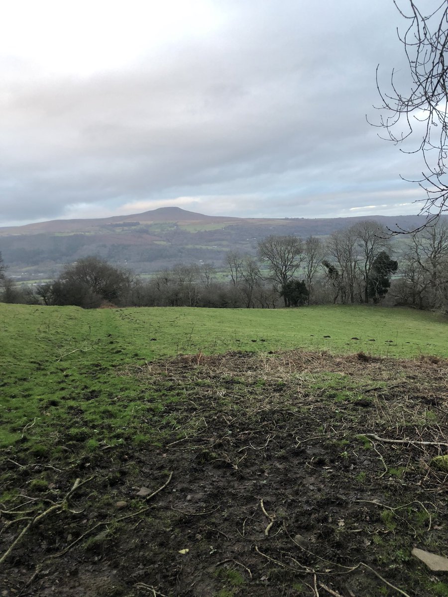 ChunkyKitCat's tweet photo. My camera does this no justice whatsoever . #sugarloaf #welshcountryside #legsache it was step as fuck walking up there! #outdoors #freshair https://t.co/mw19fpobvK