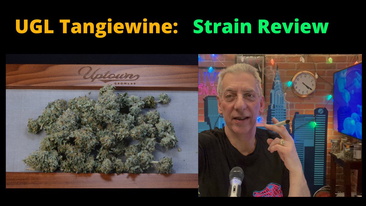 UptownGrowLab's tweet image. Just posted this on #YouTube youtu.be/gNSxDWUdE8I hope you enjoy. #smokeweedeveryday #kitchenkrew #cannabisannual