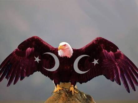 Hasan19231903's tweet photo. #Kralll👑👑 #Beşiktaş 🏆🏆🏆👏👏🧿🧿 https://t.co/JRea3R9CkQ