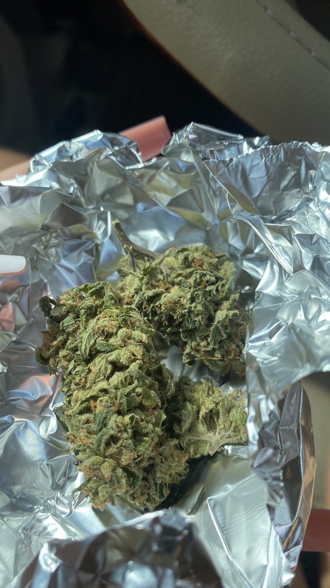 WhiteGanja_'s tweet photo. New 🔌 https://t.co/om2ZTH7ugy