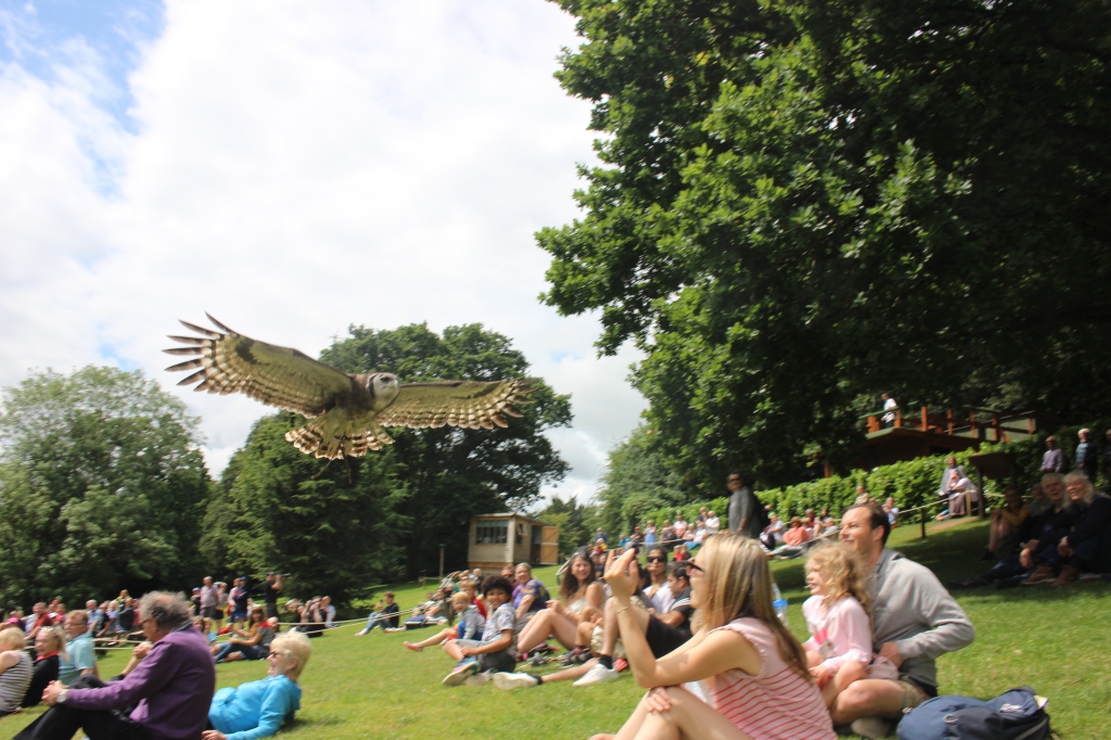 OxbridgeByWS's tweet photo. It's #NationalBirdDay  🦅 🦅 🦅 The perfect day to fly back to OxPrep's trip to Warwick Castle where students took in one of Europe's best Falconry demonstrations: The Falconer's Quest.  

📸 Oxford Prep Experience 🇬🇧 

#Oxbridgeprograms #OxPrep https://t.co/vnXj3QZkoJ
