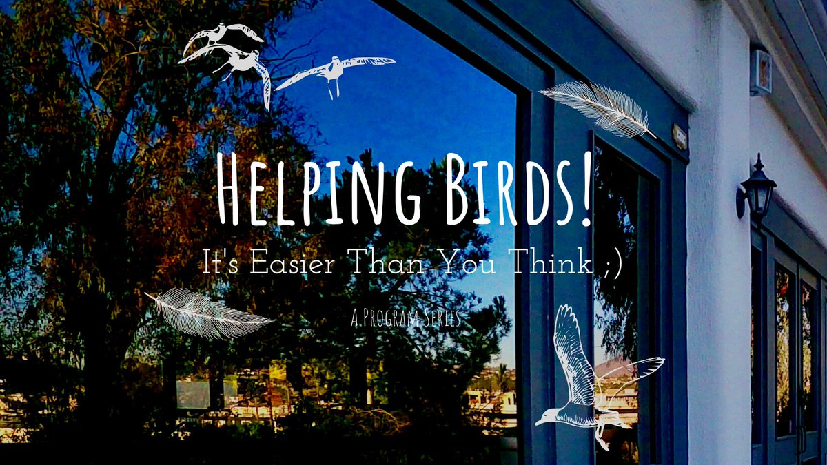 Why do birds keep hitting your windows? Join us on Sat. Jan. 15th at Lakeside Nature Center in Kansas City to find out why and how keeping your cat indoors (or making a "catio") can help protect wildlife. Find out more: mrbo.org/event/helping-… #birds #birdfriendly #nature