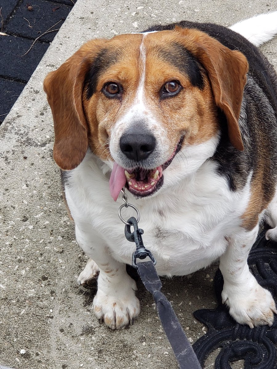 I am heading to the gym