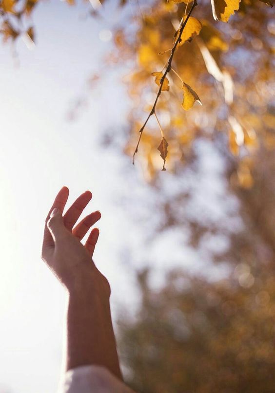 Sen gönlünü bahar tut
Bırak hazanı 
sarı sonbaharda kalsın...
Vakit tamam olur
Kavuşuruz..
İsmet Zeren