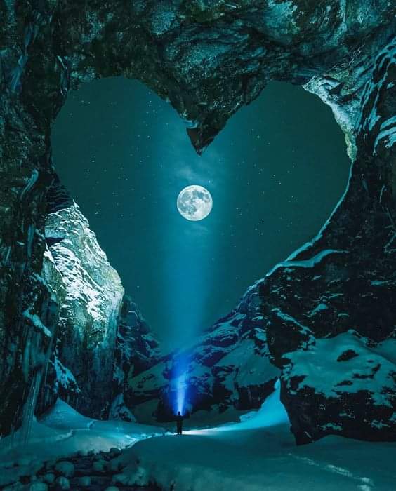 Sari_Friends1's tweet photo. ● BONNE NUIT ●♡●
#NatureBeauty   #naturephotographer https://t.co/4z918blgEZ