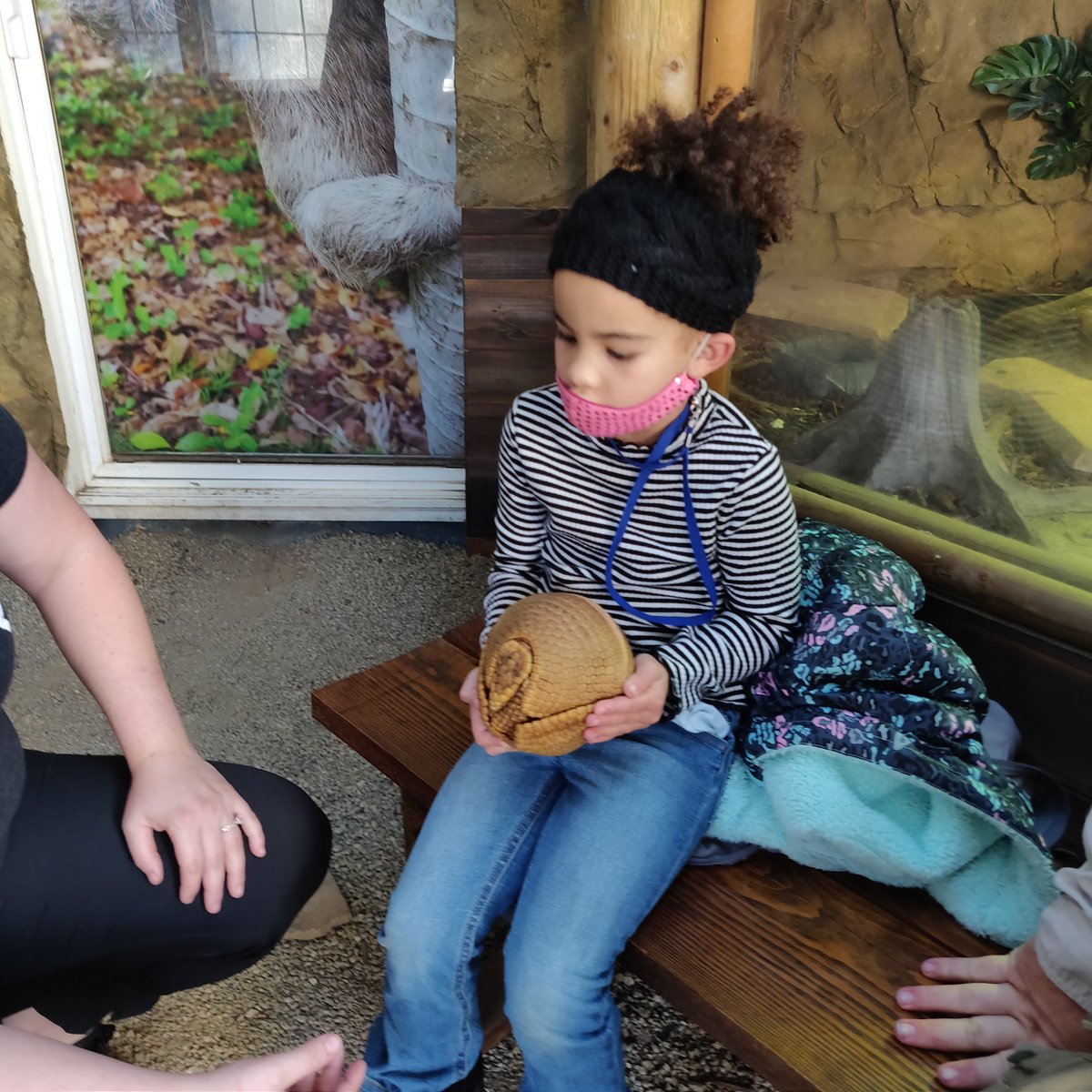 LunarphaseG's tweet photo. For me the highlight of the trip was the Sonoma Sloth house where We got to feed a couple of sloths, hold an armadillo, touch a caymen, and I got a Selfi with an Indri Lemur!
#sloths #armadillo #caymen #indrilemur #streamer #vacation #familytime #familyvacation #vacation https://t.co/3o8j8W2ZHD