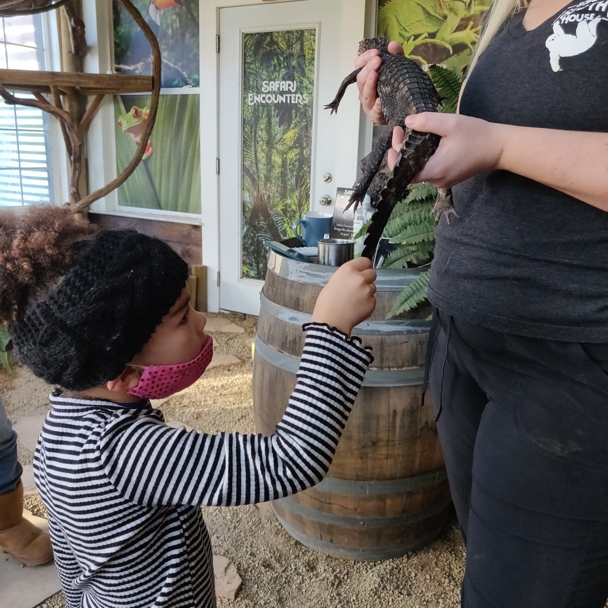 LunarphaseG's tweet photo. For me the highlight of the trip was the Sonoma Sloth house where We got to feed a couple of sloths, hold an armadillo, touch a caymen, and I got a Selfi with an Indri Lemur!
#sloths #armadillo #caymen #indrilemur #streamer #vacation #familytime #familyvacation #vacation https://t.co/3o8j8W2ZHD