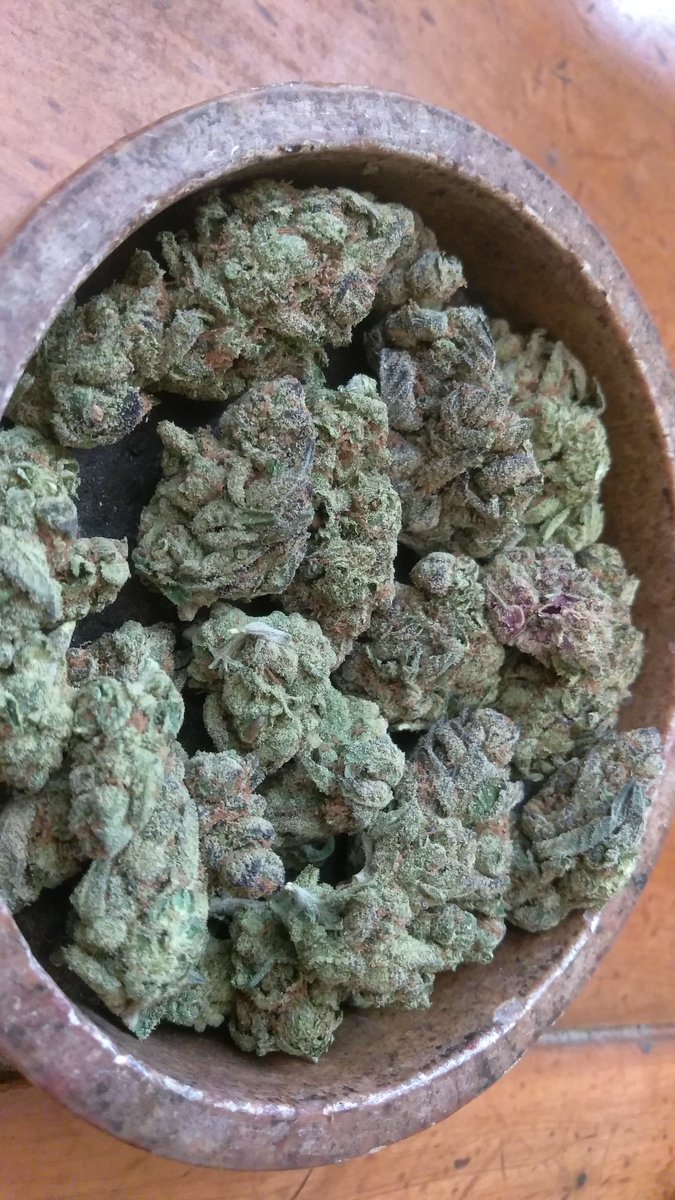 HAPPY WEED WEDNESDAY EVERYONE!!! SMOKE TIME!!! 💨💨✌️