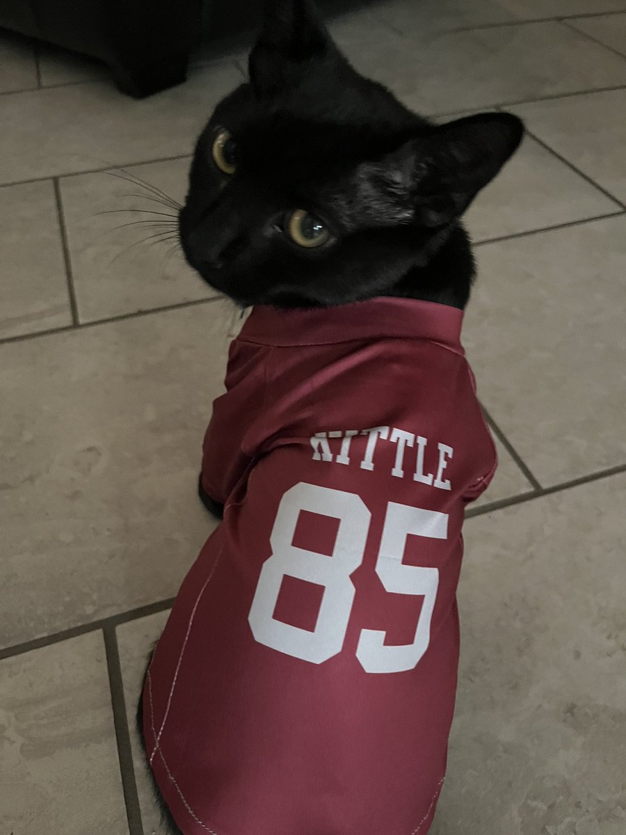 cdarlin's tweet photo. So thrilled that my sweet kitten, George Kitten got his namesakes jersey just in time for week 18 
#49ers @gkittle46 https://t.co/lTyY0flzlq