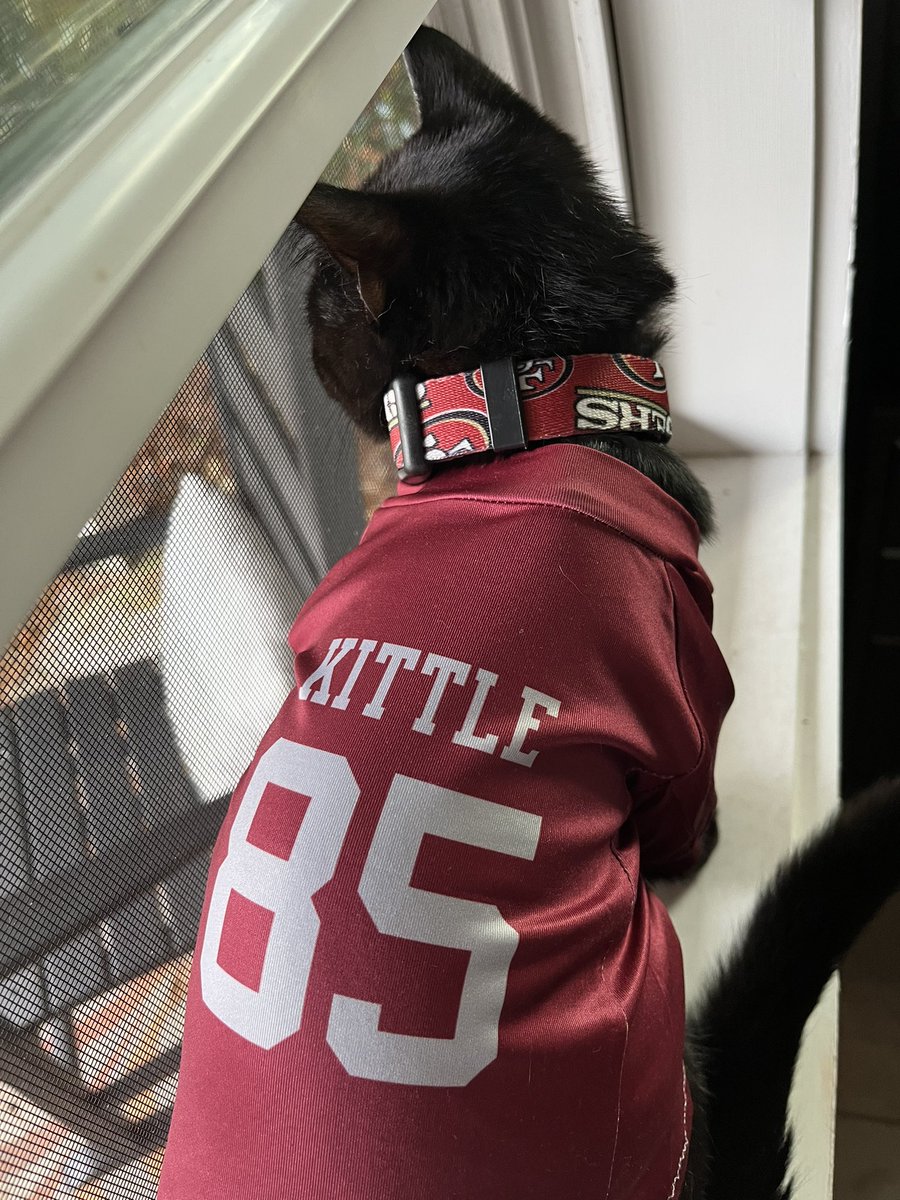 cdarlin's tweet photo. So thrilled that my sweet kitten, George Kitten got his namesakes jersey just in time for week 18 
#49ers @gkittle46 https://t.co/lTyY0flzlq
