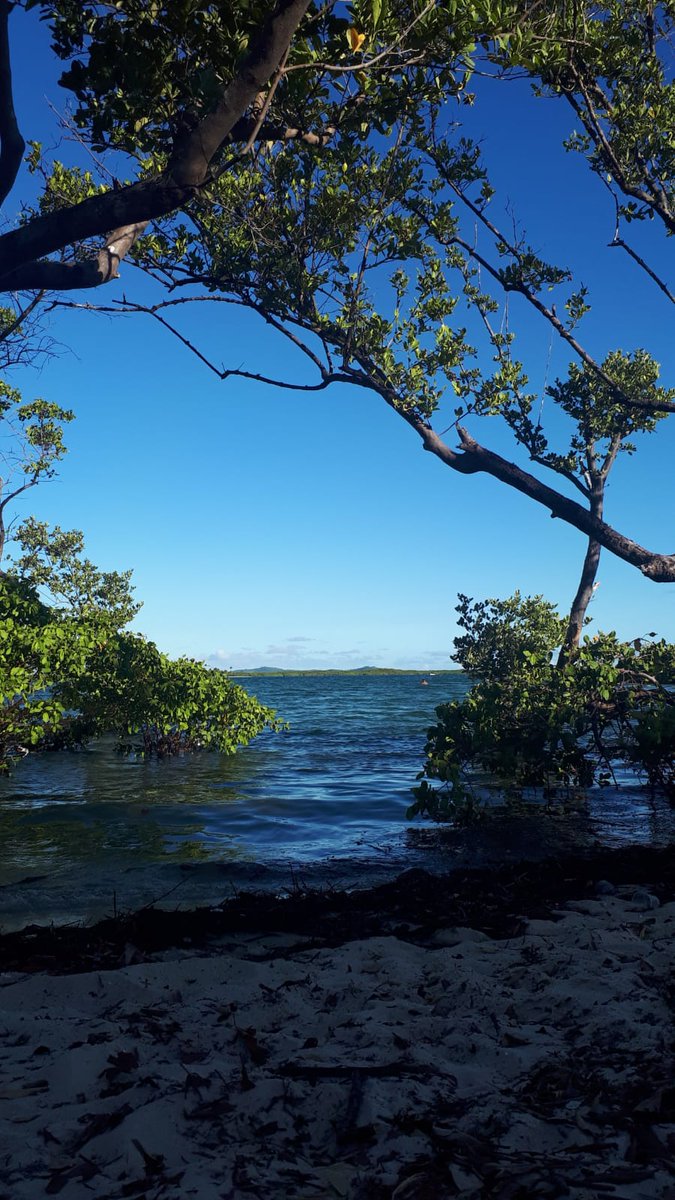 Lugar de descanso! #SalinasdaMargarida