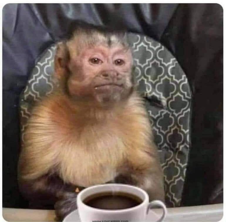 #infinitum

-No les hará daño #infinitum así. 
-¿Cómo así? 
-así cobrando y sin servir...