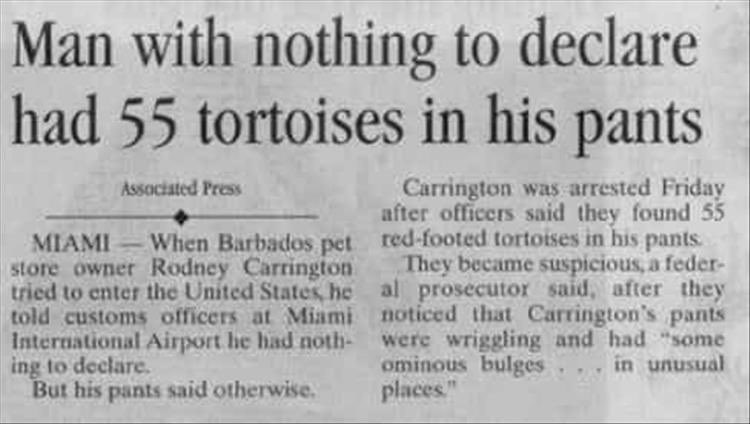 because really, what is there to say?