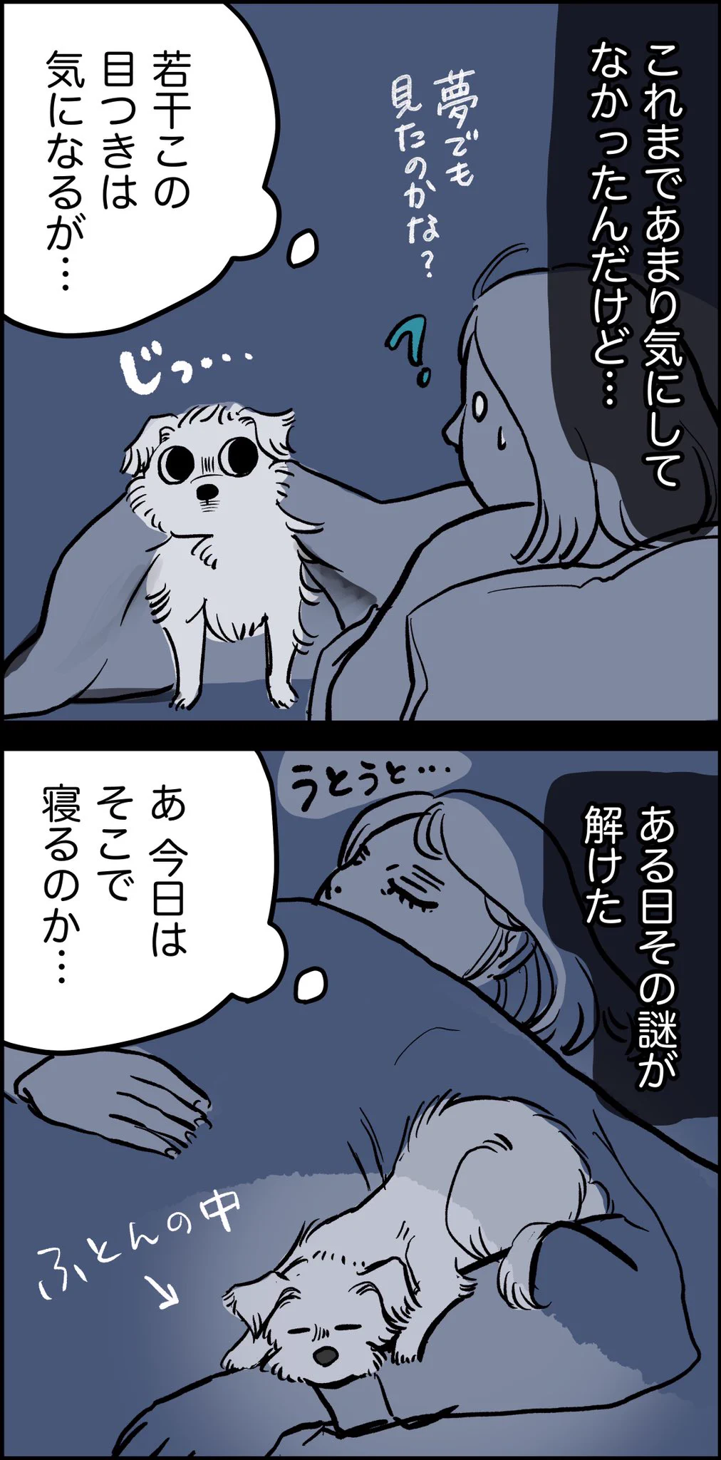 イヌから疑いの目で見られていた話。私は悪くないにもかかわらず！
