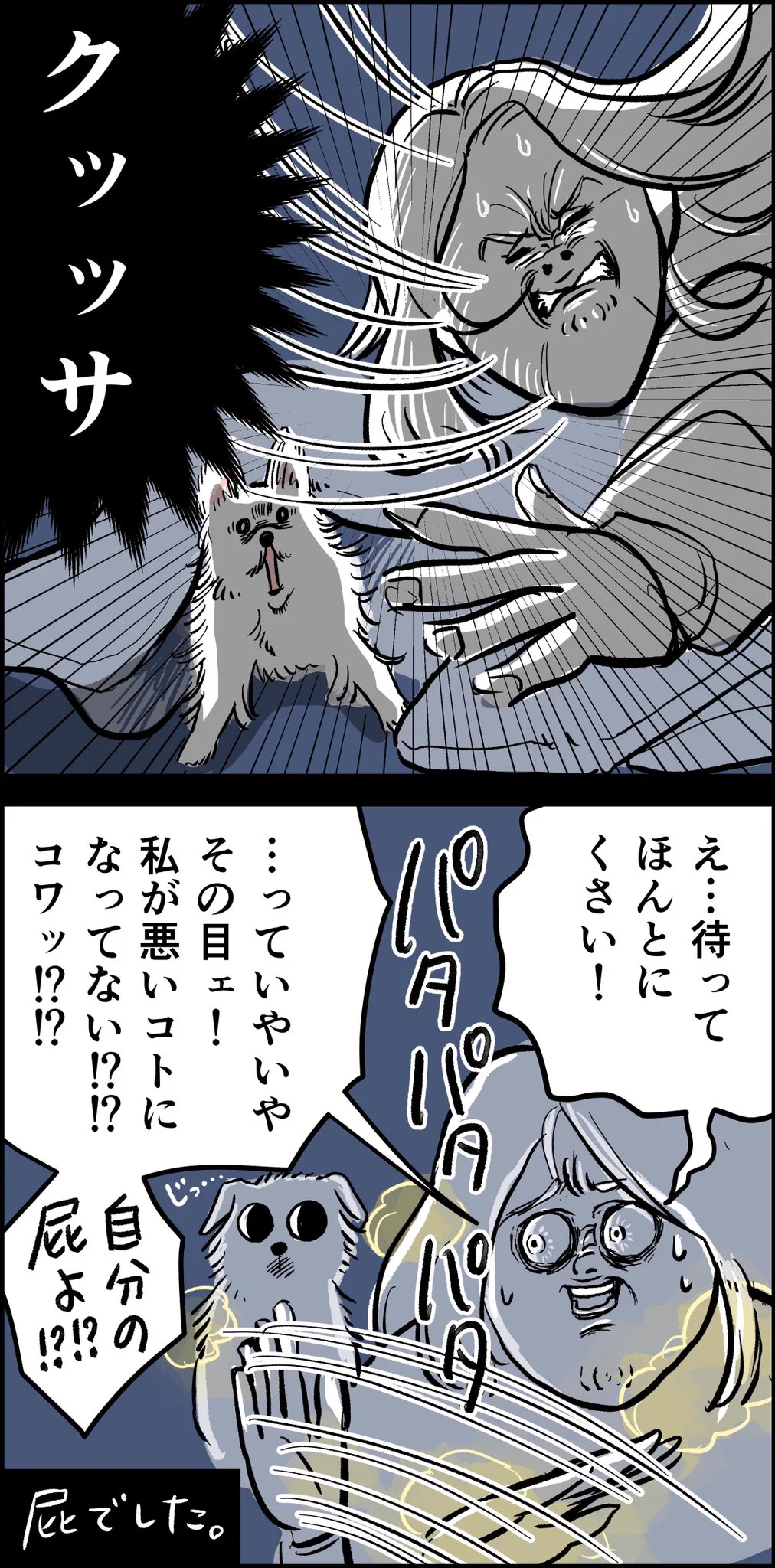 イヌから疑いの目で見られていた話。私は悪くないにもかかわらず！