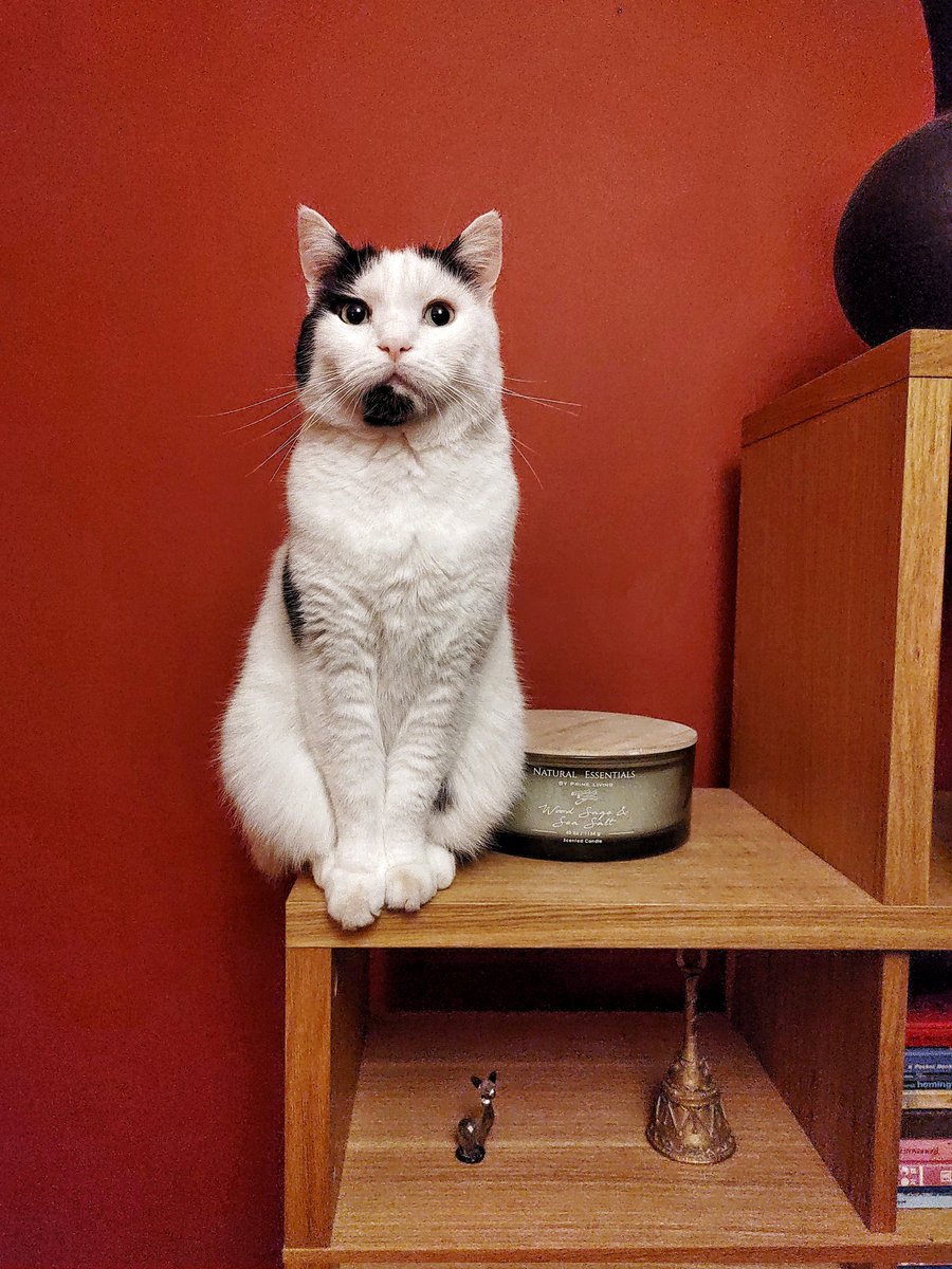 Black, white and red all over.