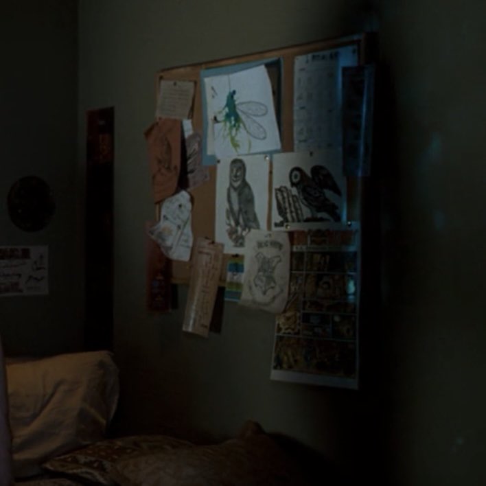 harry’s room details 📚