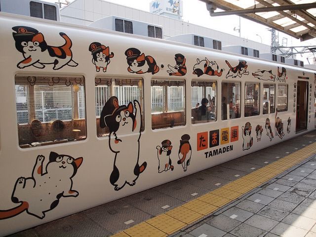 SoftnessDaily's tweet photo. cat train 🎀 https://t.co/alhPX0elqk