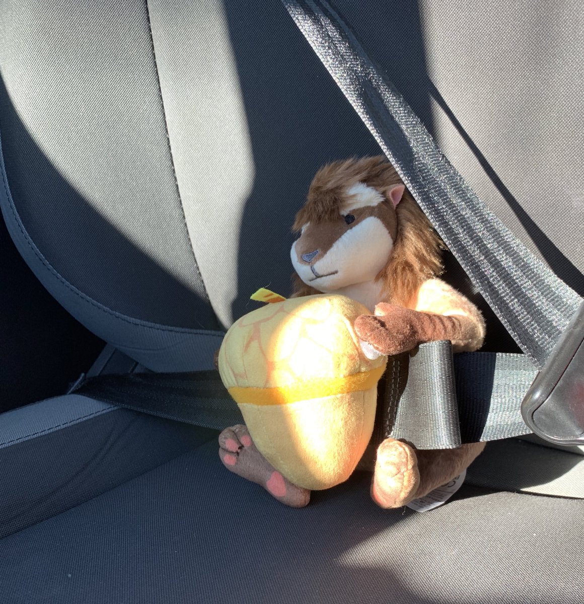 Makayla VR 🥽 tweet media