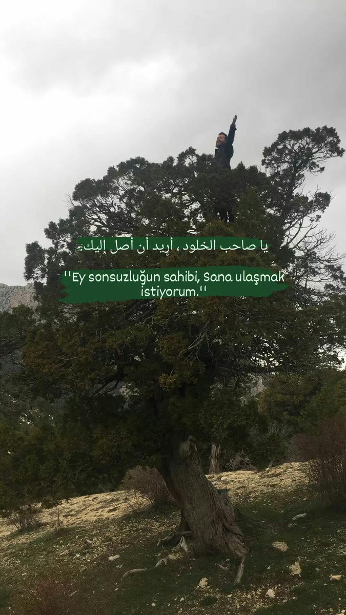 Hasan Hüseyin Öğretici (@hasanhsyn027) on Twitter photo 