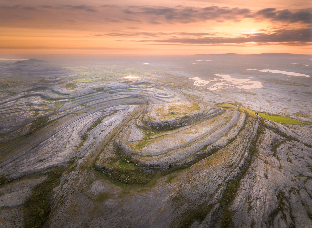 Sean O' Riordan tweet media