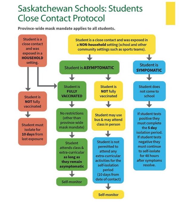 ruthmbuckschool's tweet photo. Not sure what to do if your child is a close contact, here is a great visual outlining the steps. https://t.co/0Hanz7y8Zo