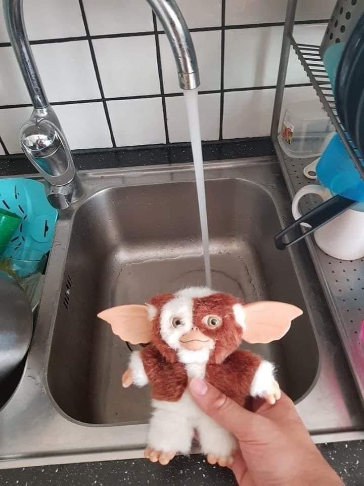regfleur99's tweet photo. Dans 2h, je mets le bordel
#grimlins #raslebol https://t.co/CIxa4rlDga
