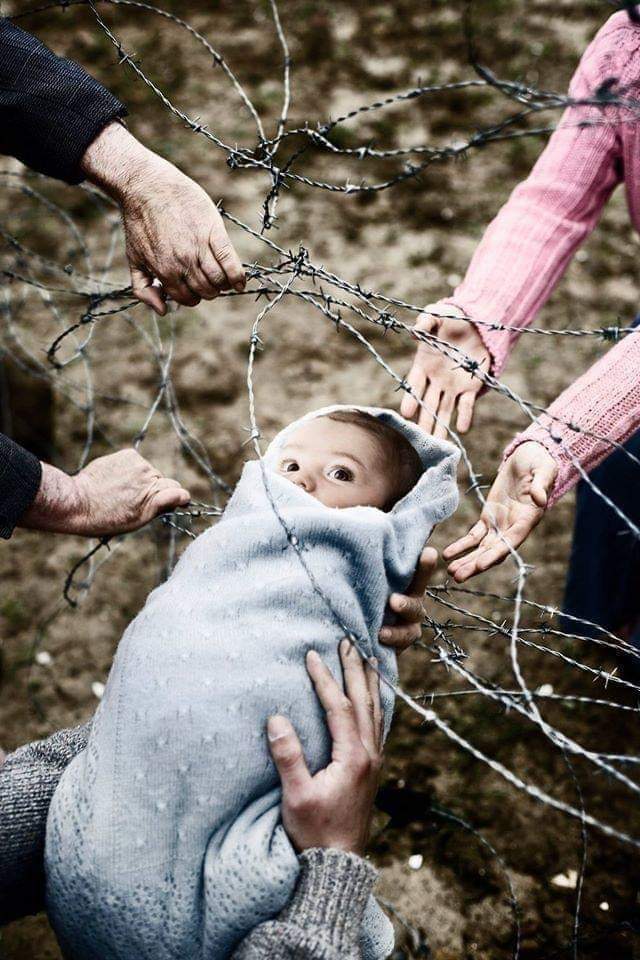 HaliaV4non's tweet photo. All human beings are born free and equal in dignity and rights. They are endowed with reason and conscience and should act towards one another in a spirit of brotherhood. #DelarationOfHumanRights A.1 #EqualityforAll #StopWars #HRW #RefugeesNeedHelp #humanitarian #GoodNight ๐๐ผ https://t.co/BFuTHrFoVI
