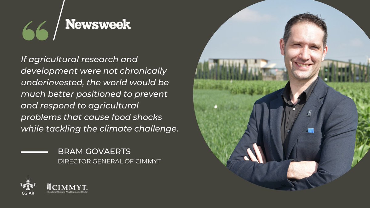 CIMMYT's tweet photo. In a recent @Newsweek op-ed, @bramaccimmyt, DG of #CIMMYT, discusses the importance of investing in agricultural research &amp; scaling up farmer-centered innovations to build food systems resilience against shocks.
 
Read the full article here: https://t.co/uLrG1t8f2e https://t.co/8dbwxOso1l