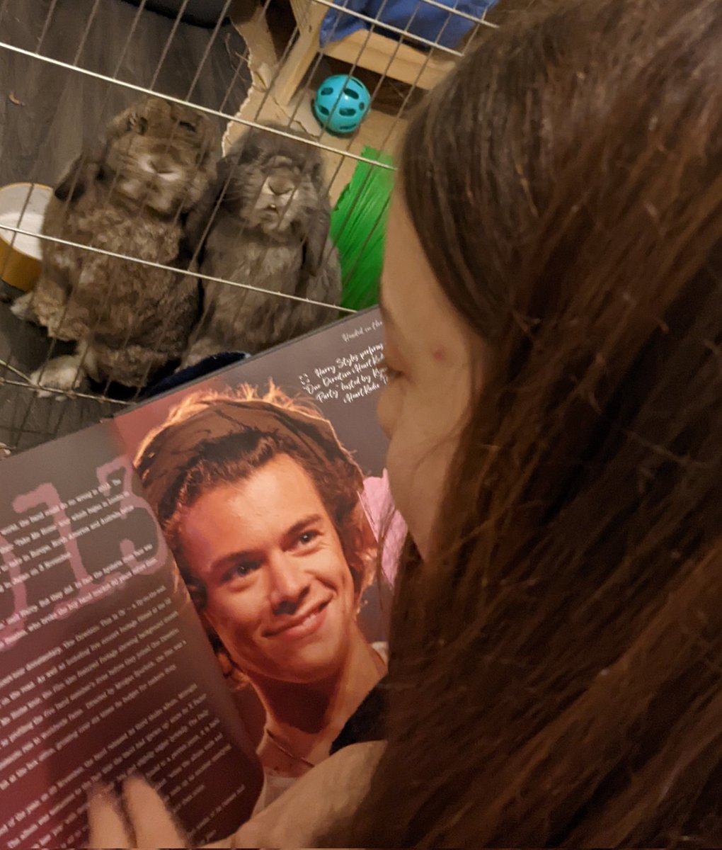 When you catch the eldest reading a Harry Styles book to the rabbits.... <a href="/Harry_Styles/">Harry Styles.</a>
