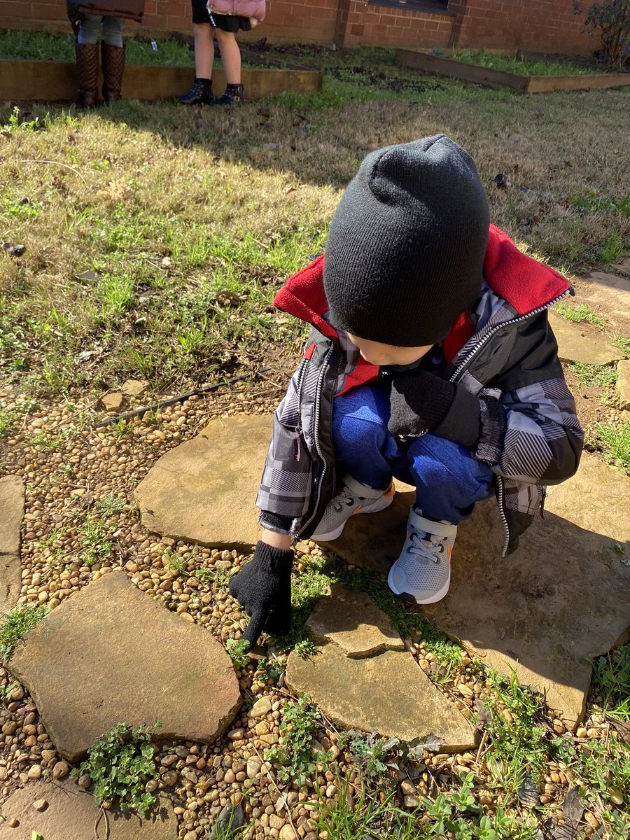 Dana Studer tweet media