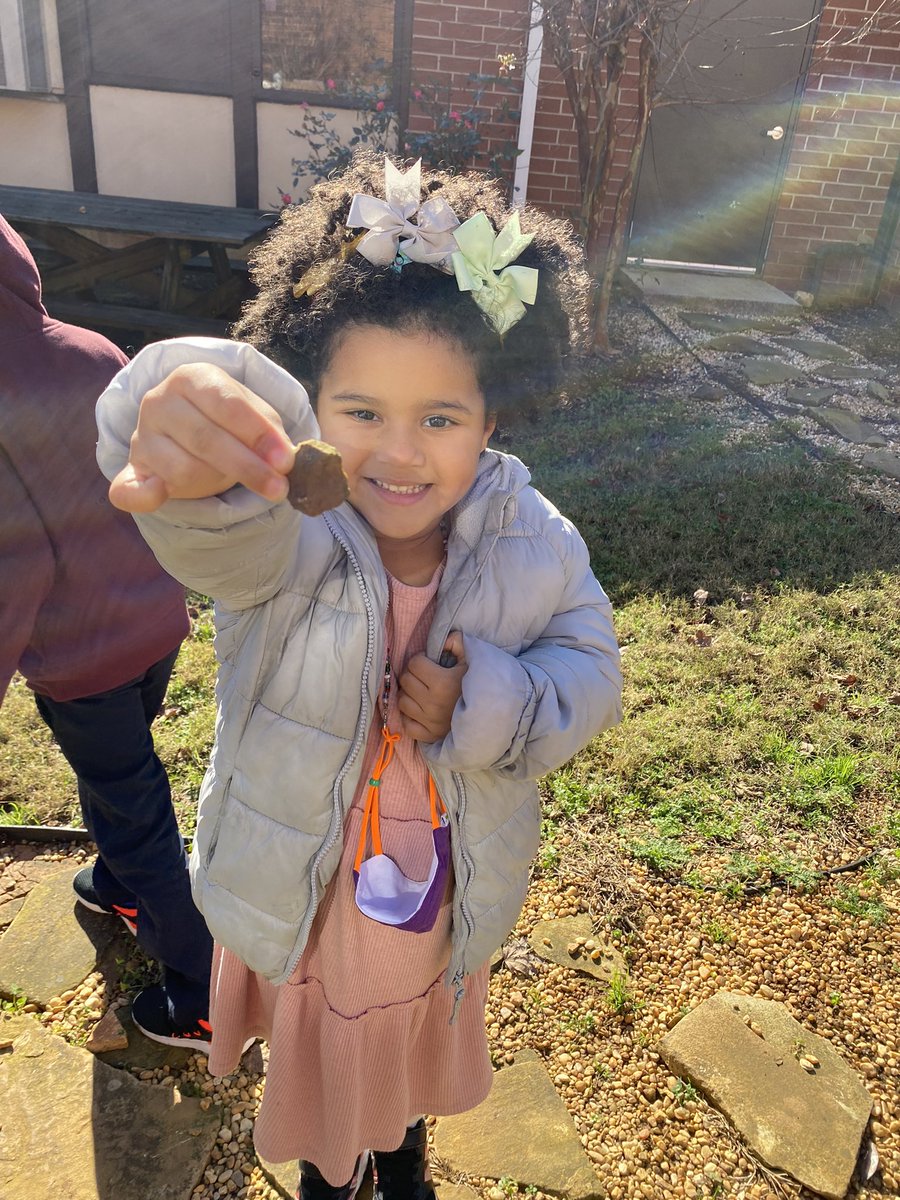 Dana Studer tweet media