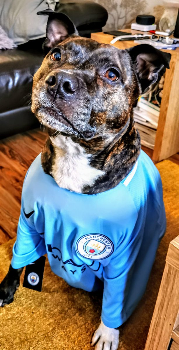 San124's tweet photo. @WAFCWill Reggie is a City fan 💙 https://t.co/Tm1XK2PhS7