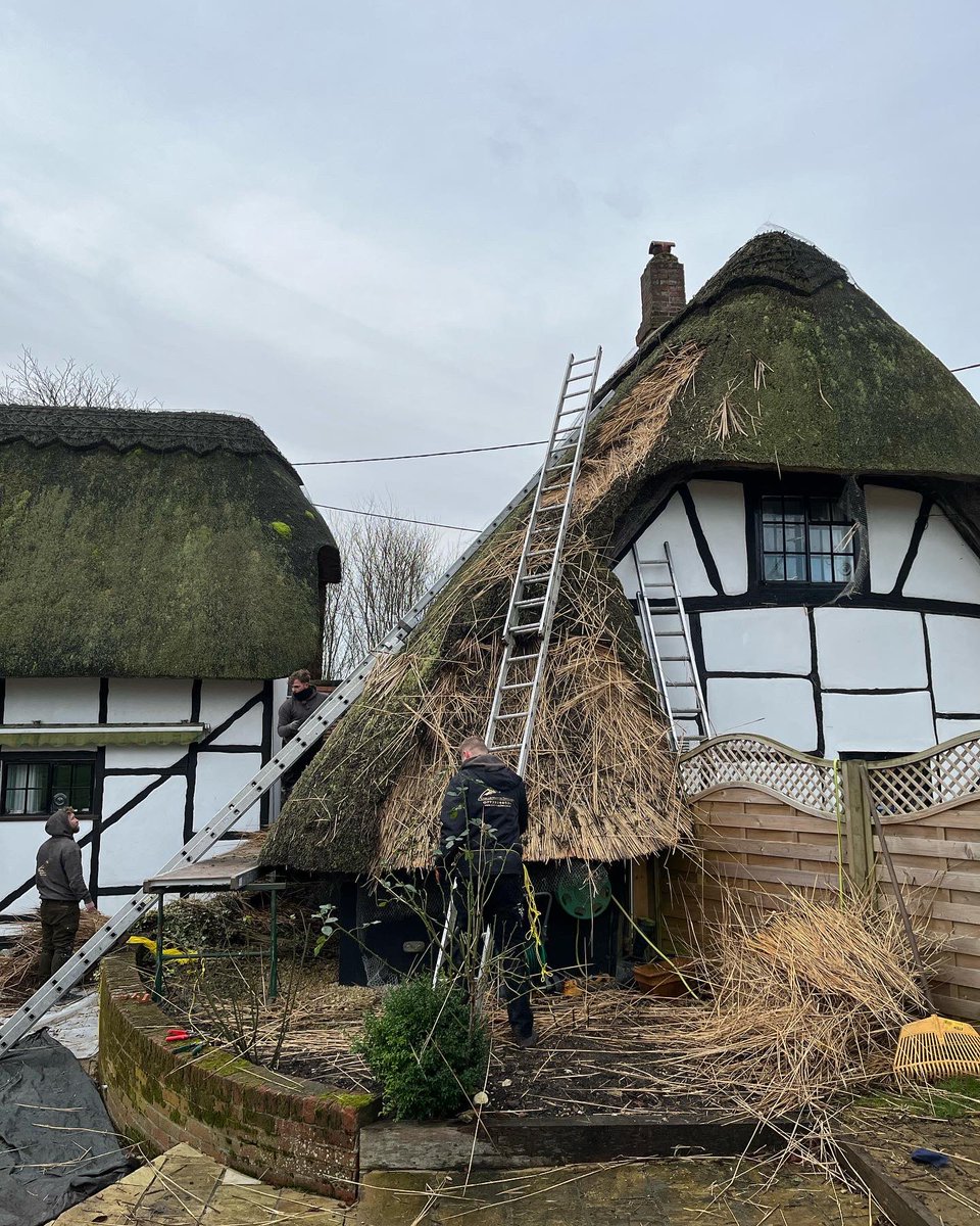 WoodroffeFran's tweet photo. Three days of thatching progress - complete chaos today with scaffolding going up through Teams calls, but fascinating to see the stripped back roof and new thatch coming on #rethatch #thatchedcottage https://t.co/Ipq8sQ66GP