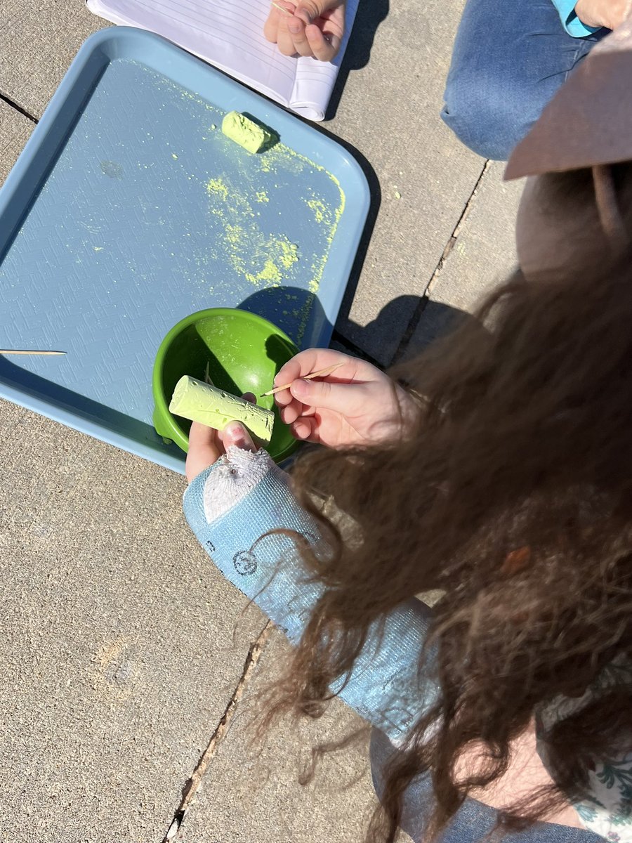 Julie Mayer tweet media