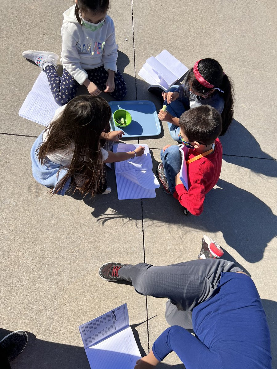 Julie Mayer tweet media