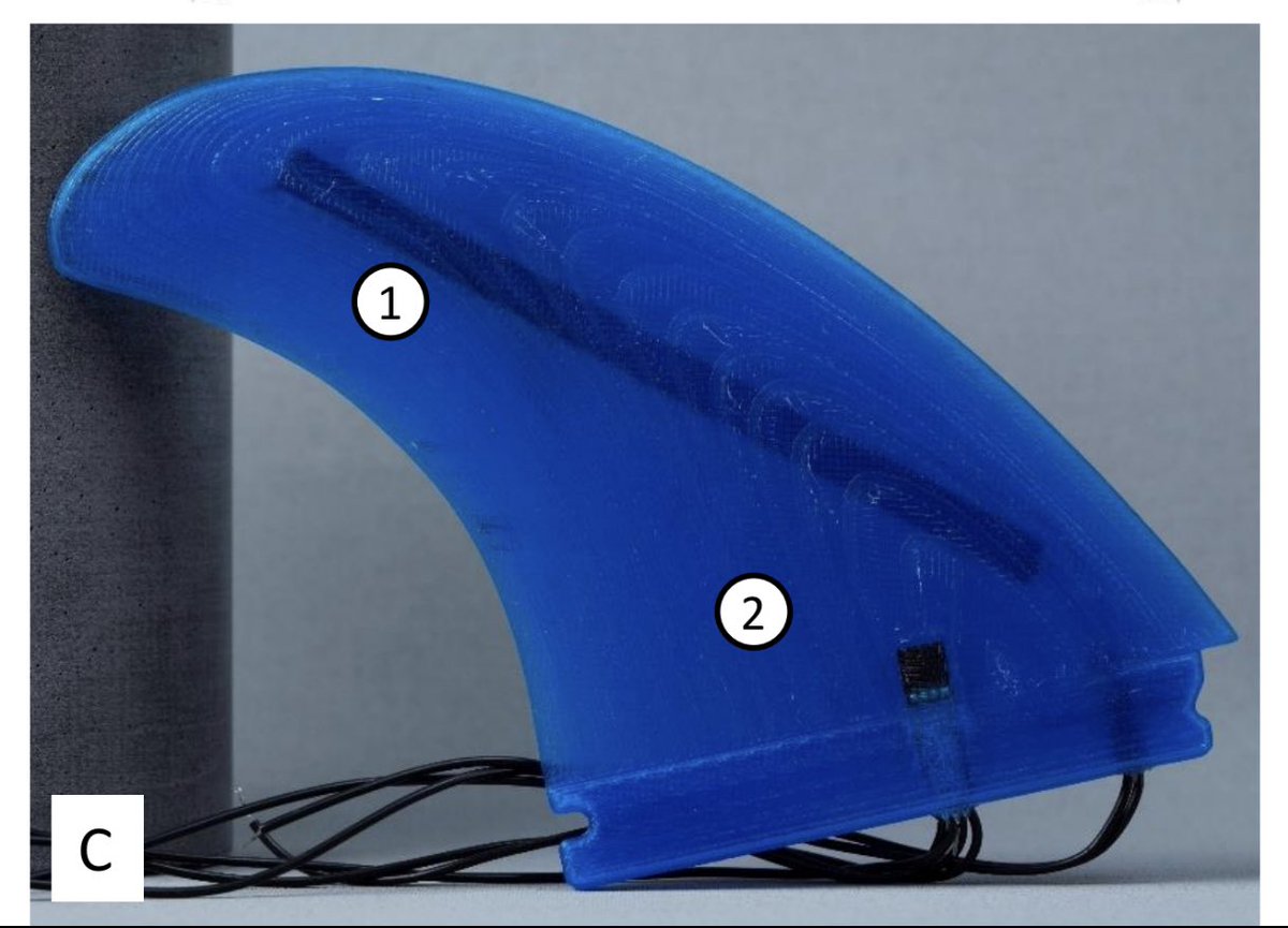 SurfFlexLab's tweet photo. Surfing as a Science!
3D printed twin fin with embedded sensors to measure fin flex in real time.
1 = 3D printed flex sensor
2 = commercial flex sensor
Research team: Pawel and Marc
Made in Australia 🇦🇺
@uow @uowresearch
@SurfEngineers
#surfing
#surfengineering https://t.co/iP0qT459B6