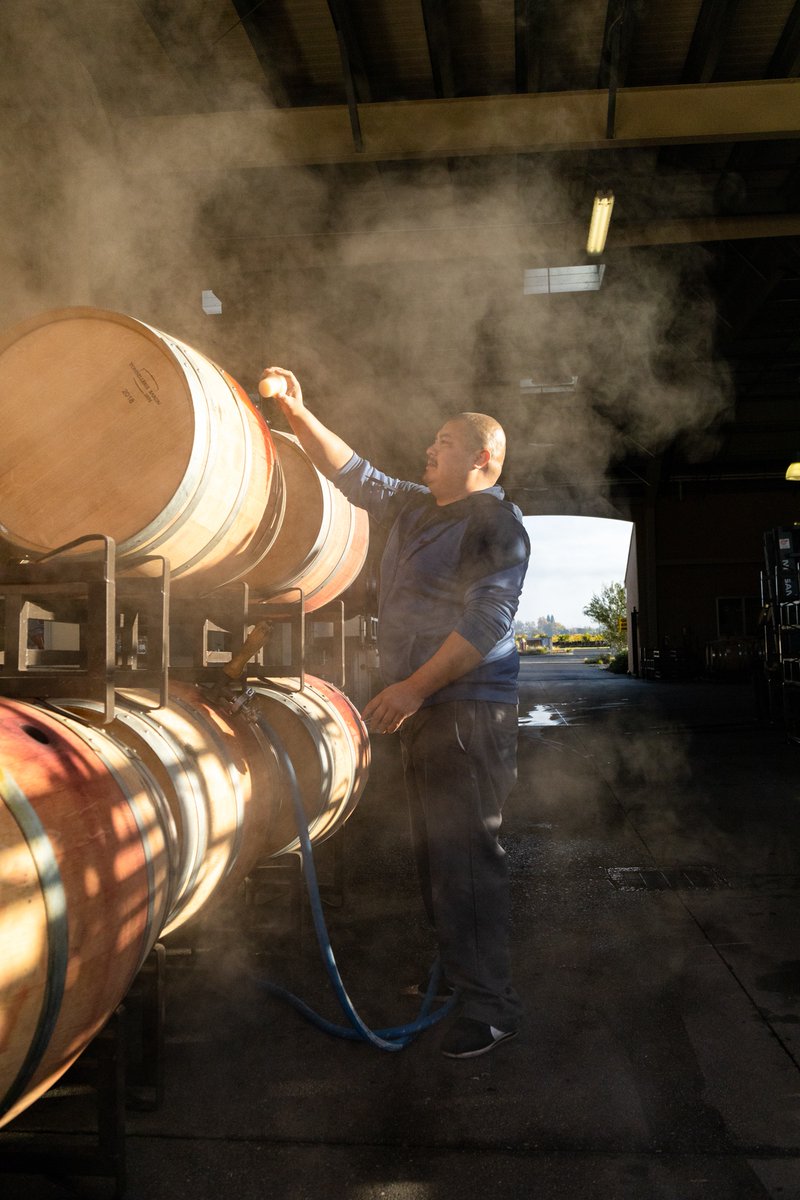 Behind the scenes of winemaking | Steaming the barrels
