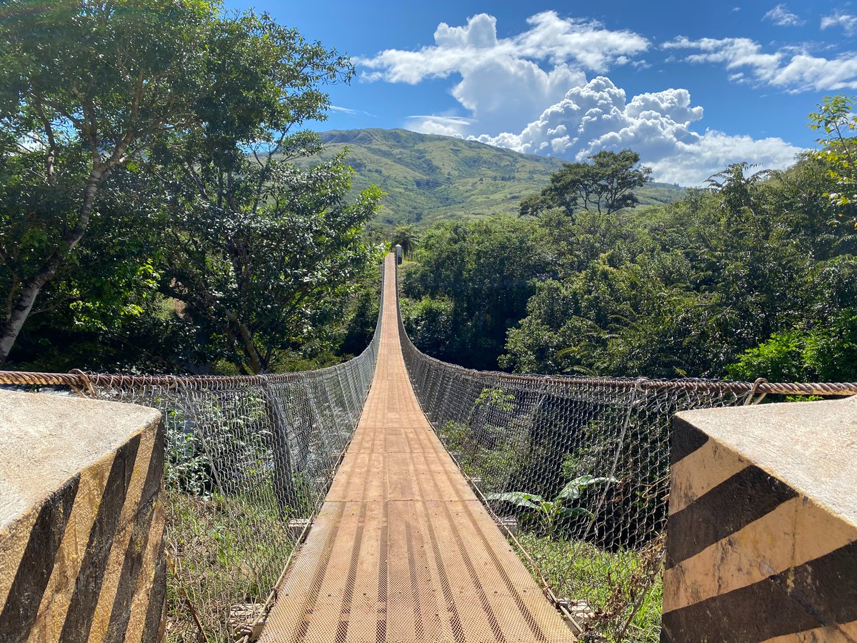 ksinacore's tweet photo. Looking forward to having more time for science in 2022 and working in this beautiful part of Panamá. #JustLetMeDoScience https://t.co/Wyw1JEC4z2