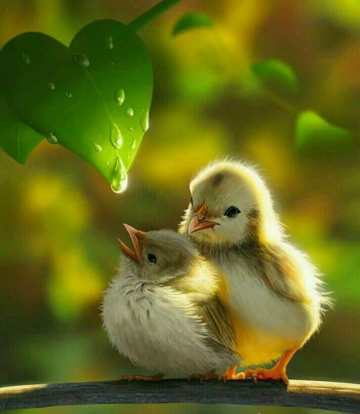 2thank's tweet image. With the new day comes new strength and new thoughts.