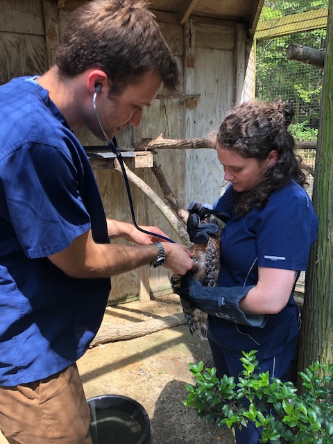 We would like to extend a HUGE THANK YOU to our veterinarians at Animal &amp; Bird Health Care Center!  For many years the veterinarians and veterinary technicians at Animal and Bird Healthcare Center have provided care to our wildlife patients and our permanent resident Wildlife