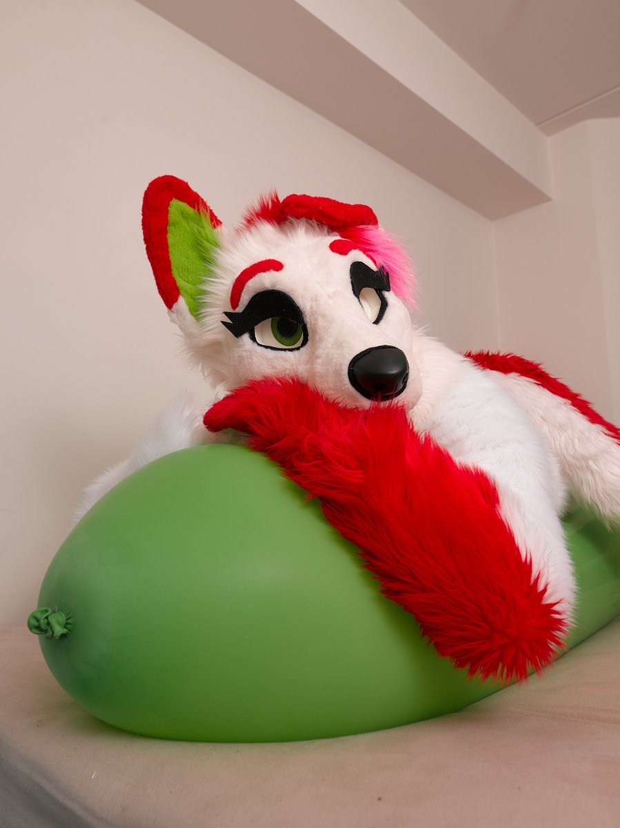 SaviServal's tweet photo. We had a small photpshoot this evning since we dident know what to do. But looks like @BelkaLunokhod had some fun by the looks of it. and the loon made by @hoppelhoop is still around https://t.co/Xk7JPF31DU