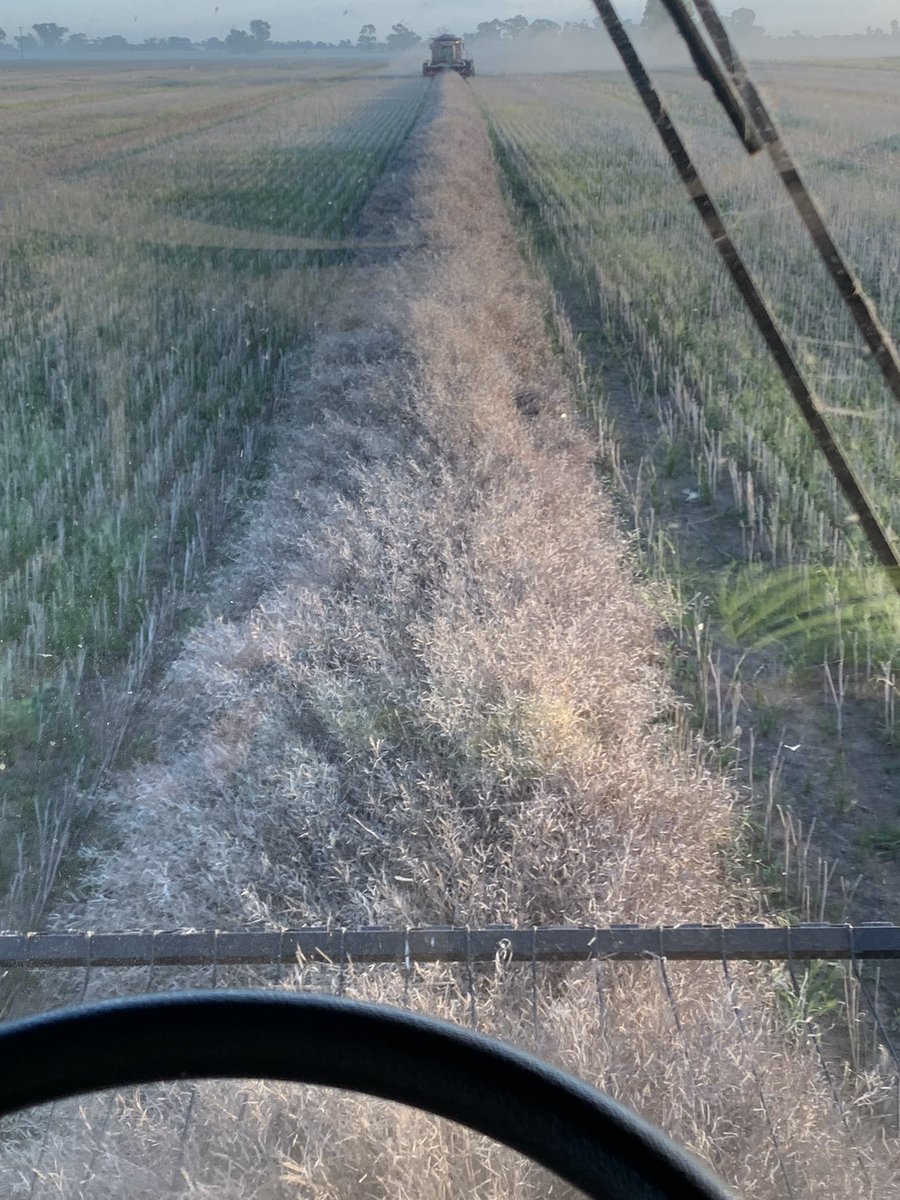 Last run of Canola yesterday, who would of thought we’d be still harvesting it in January!!